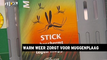 RTL Z Nieuws Volgende week een muggen- en wespenplaag in Nederland