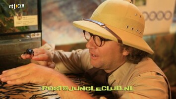 Jungle Club Afl. 35