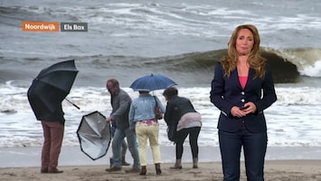 Rtl Weer - 19:55 Uur