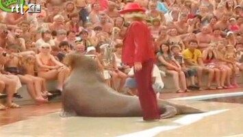 Editie NL LOL: walrus doet Michael Jackson na