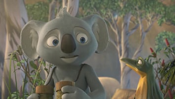 Blinky Bill De vliegende koala
