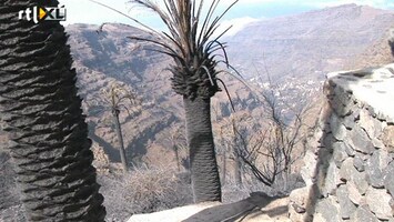 RTL Nieuws Bosbranden verlammen La Gomera