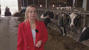 Lijanne benoemd als Statenlid voor BBB: 'Wolf moet weg'