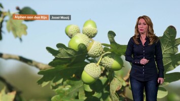 Rtl Weer - 19:55 Uur