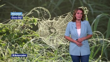 Rtl Weer - 19:55