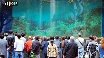 RTL Nieuws Haaien-aquarium barst in druk winkelcentrum