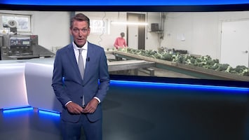 Rtl Nieuws - 19:30 Uur - Laat