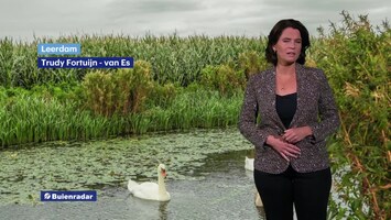 RTL Weer Laat