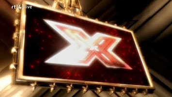 X Factor 