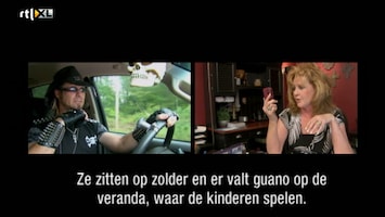 Helden Van 7: Billy The Exterminator - Helden Van 7: Billy The Exterminator /1