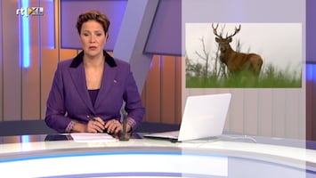 Rtl Z Nieuws - 17:30 - Rtl Z Nieuws - 12:00 Uur /227