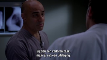 Grey's Anatomy - Give Peace A Chance