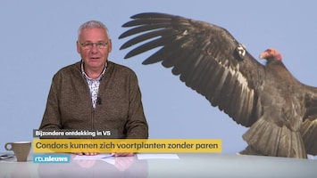 Rtl Nieuws - 19:30 Uur - 07:00 Uur