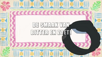 Pokémon - De Smaak Van Bitter En Zoet!