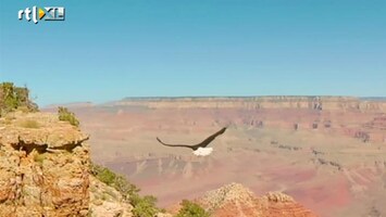 Editie NL Natuurfilm in vogelvlucht