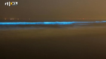 RTL Z Nieuws Bijzonder: lichtgevende algenin zee bij Zandvoort