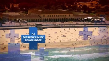 De Dierenkliniek Down Under - Afl. 26