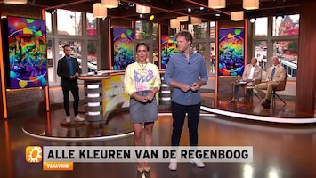 RTL Boulevard Afl. 206