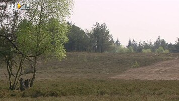 RTL Nieuws Onze natuur staat droog