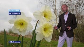 Rtl Weer - Laat