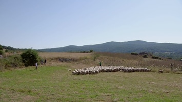 Het Italiaanse Dorp: Ollolai - Afl. 24