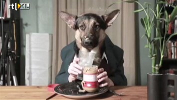 Editie NL LOL: hond eet als mens