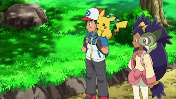 Pokémon Schoonheden strijden om de pracht en praal!