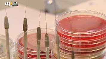 RTL Nieuws Maasstad onderschatte bacterie