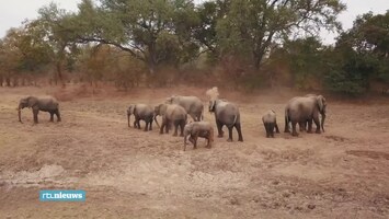 Rtl Nieuws - 19:30 Uur - 06:30 Uur