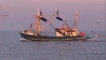 RTL Nieuws 12:00 uur