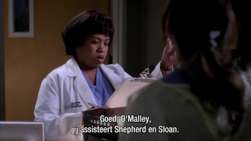 Grey's Anatomy Didn't we almost have it all?