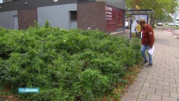 RTL Nieuws 19:30 uur