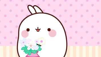 Molang - Afl. 39