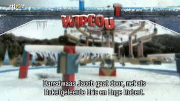 Wipeout - Don't Fear The Beaver