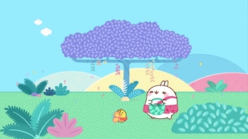 Molang Afl. 17