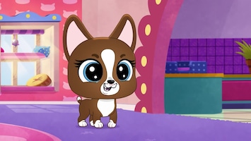 Littlest Pet Shop: A World Of Our Own Afl. 14