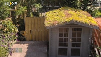 Eigen Huis & Tuin Sedum leggen