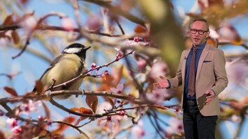 Rtl Weer - Laat