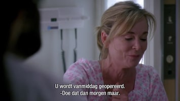 Grey's Anatomy - I Am A Tree