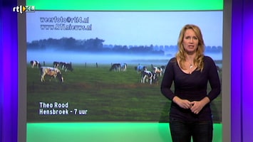 Rtl Weer - Laat