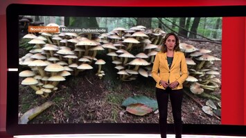 Rtl Weer - 18:30 Uur