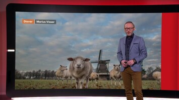 Rtl Weer - 18:30 Uur