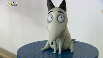 Films & Sterren Biosrelease 'Frankenweenie'