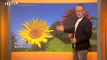 RTL Nieuws Volop zomer, morgen onweer