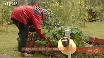 RTL Nieuws Urban farming floreert door crisis