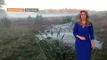 Rtl Weer - Laat