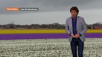 Rtl Weer - Laat