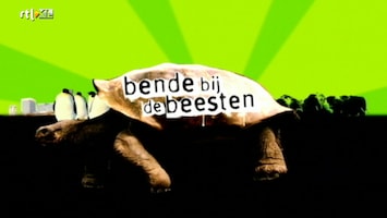 Bende Bij De Beesten - Afl. 1