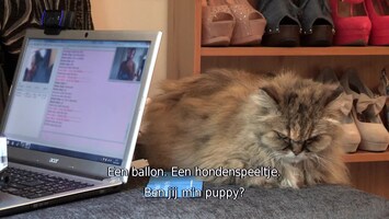Mijn Online Seksgeheimen - Afl. 1