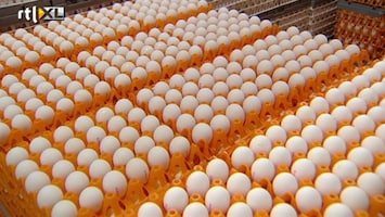 RTL Z Nieuws Groot tekort aan eieren drijft de prijs op